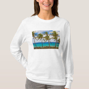 Kokospalmboom (Cocos nucifera) wiegend in T-shirt
