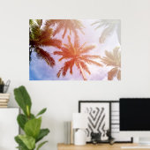 Kokospalmboom met zonlicht poster (Thuiskantoor)