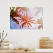 Kokospalmboom met zonlicht poster (Keuken)