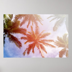Kokospalmboom met zonlicht poster