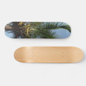 Kokospalmboom Skateboard (Horizontaal)