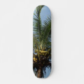 Kokospalmboom Skateboard (Voorkant)