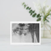 Kokospalmen - Fotografie op de Hawaiiaanse eilande Briefkaart (Staand voorkant)