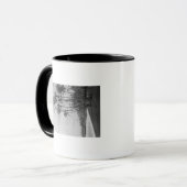 Kokospalmen - Fotografie op de Hawaiiaanse eilande Mok (Voorkant links)