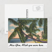 Kokospalmen op de Kust van Florida van het Briefkaart (Voorkant / Achterkant)