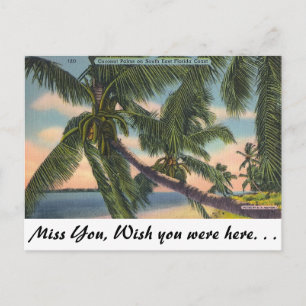 Kokospalmen op de Kust van Florida van het Briefkaart