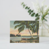  kokospalmen Tropische bries zonsondergang Briefkaart (Staand voorkant)