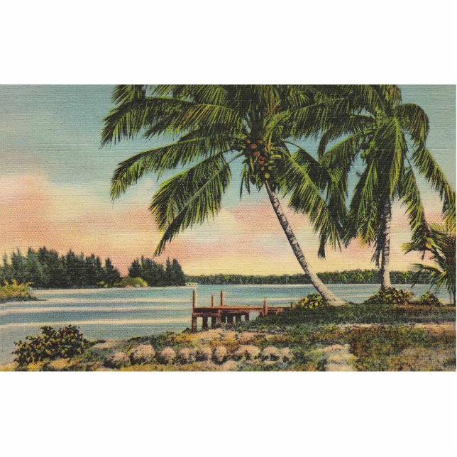  kokospalmen Tropische bries zonsondergang Fotobeeldje Magneet (Voorkant)