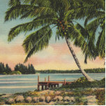 kokospalmen Tropische bries zonsondergang Staand Fotobeeldje<br><div class="desc">Palm Tree - Een  palmboomprint van lang geleden met een zonsondergang in de tropen. Een geweldig cadeau met een tropisch thema - kokospalmen! Oud Florida of Hawaï!</div>