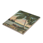 kokospalmen Tropische bries zonsondergang Tegeltje (Zijkant)