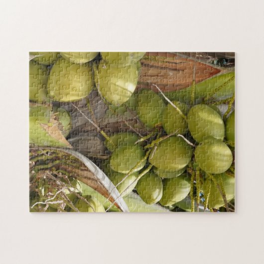 Kokospuzzel Legpuzzel (Horizontaal)