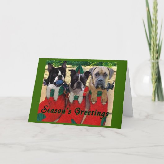 Kokpups Feestdagen Kaart (Voorkant)