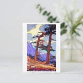 Kol. de Bavella-bergpas, Corsica, Frankrijk Briefkaart (Staand voorkant)