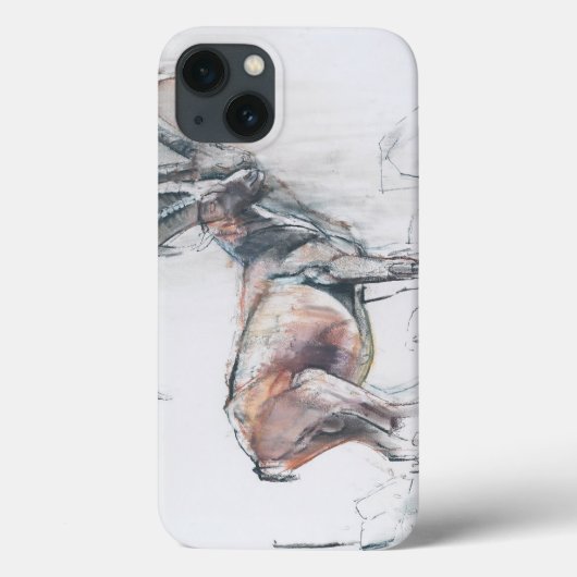 Kol. di Vermianaz Case-Mate iPhone Case (Achterkant)