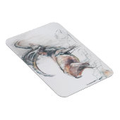 Kol. di Vermianaz Magneet (Rechterzijde)