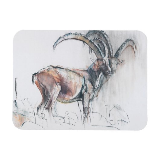 Kol. di Vermianaz Magneet (Horizontaal)