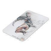 Kol. di Vermianaz Magneet (Linkerzijde)