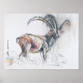 Kol. di Vermianaz Poster (Voorkant)