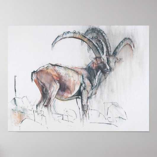 Kol. di Vermianaz Poster (Voorkant)