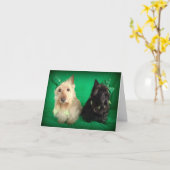 Kolder Kaart (Gele Bloem)