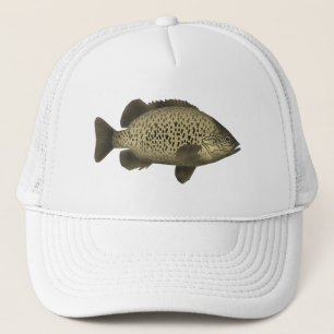 kolengrunter trucker pet