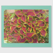 Koleus Flower Patch Wrapping Paper Cadeaupapier (Vlak)