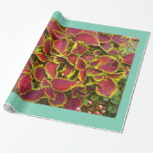 Koleus Flower Patch Wrapping Paper Cadeaupapier (Uitgerold)