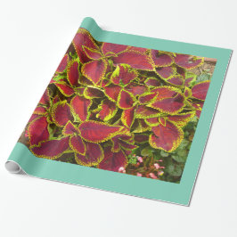 Koleus Flower Patch Wrapping Paper Cadeaupapier