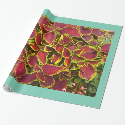 Koleus Flower Patch Wrapping Paper Cadeaupapier (Uitgerold)