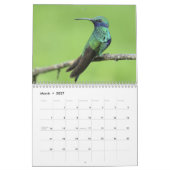 Kolibrie 2027 kalender (Mar 2027)