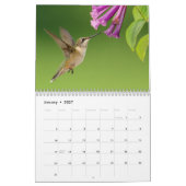 Kolibrie 2027 kalender (Jan 2027)