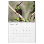 Kolibrie 2027 kalender (Feb 2027)