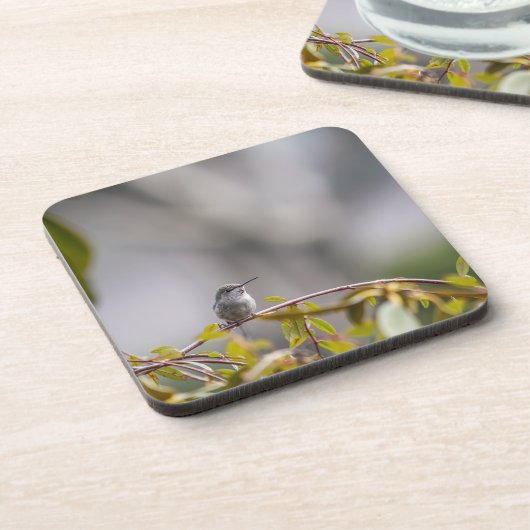 Kolibrie 3346 bier onderzetter (Linkerzijde)