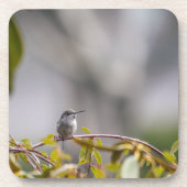 Kolibrie 3346 bier onderzetter (Voorkant)