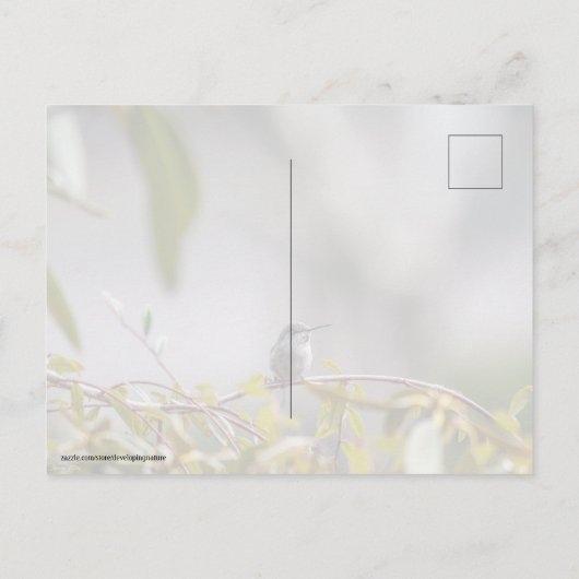 Kolibrie 3346 briefkaart (Achterkant)