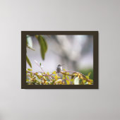 Kolibrie 3346 canvas afdruk (Voorkant)