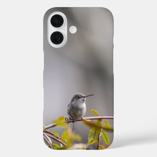 Kolibrie 3346 Case-Mate iPhone case (Achterkant)