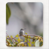 Kolibrie 3346 muismat (Voorkant)