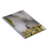 Kolibrie 3346 notitieboek (Rechterzijde)