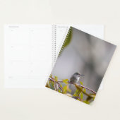 Kolibrie 3346 planner (Display)