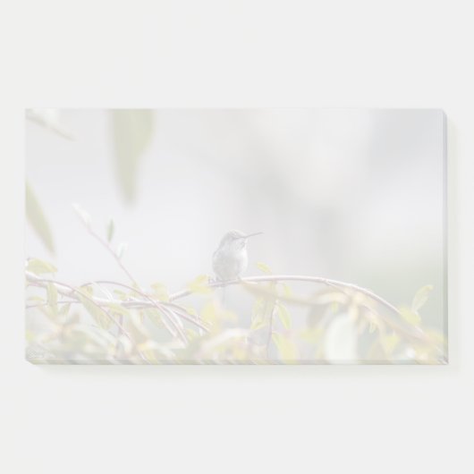 Kolibrie 3346 post-it® notes (Voorkant)