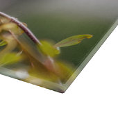 Kolibrie 3346 snijplank (Hoek)