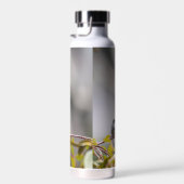 Kolibrie 3346 waterfles (Rechts)