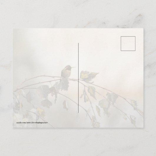 Kolibrie 5265 briefkaart (Achterkant)