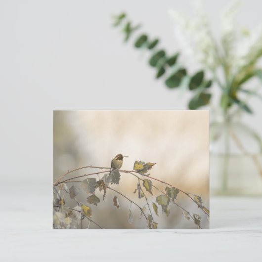 Kolibrie 5265 briefkaart (Staand voorkant)