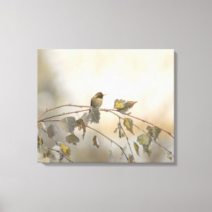 Kolibrie 5265 canvas afdruk
