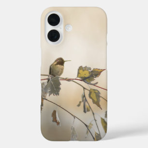 Kolibrie 5265 iPhone 16 hoesje