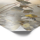 Kolibrie 5265 foto afdruk (Hoek)