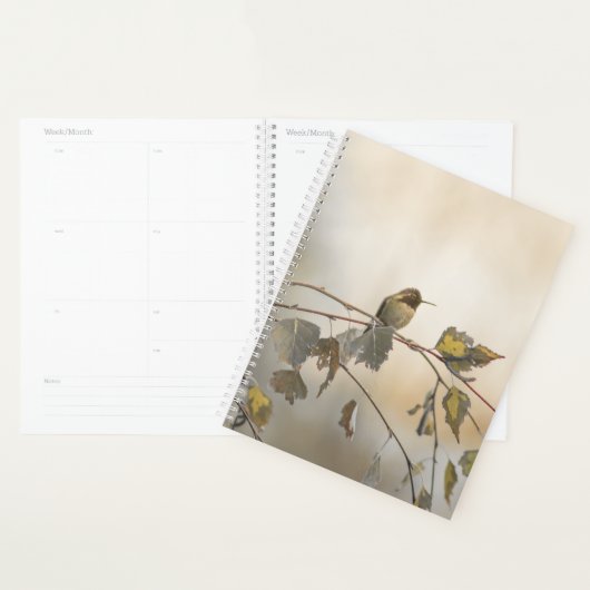 Kolibrie 5265 planner (Display)