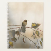 Kolibrie 5265 planner (Voorkant)